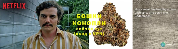 мяу мяу мука Переславль-Залесский