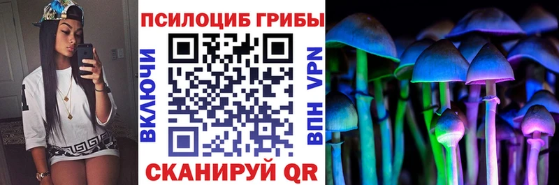 Псилоцибиновые грибы GOLDEN TEACHER Светлый